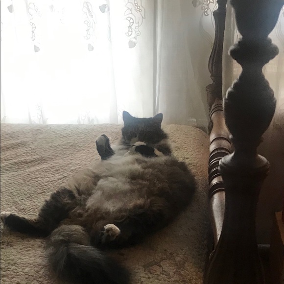 PRICELESS - Picture 1 of 7